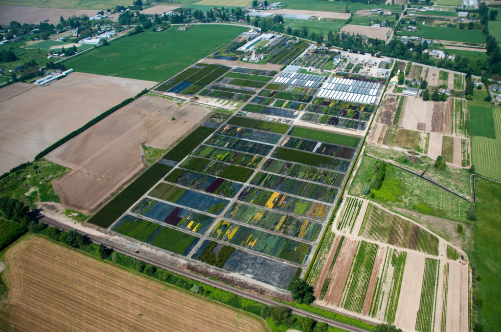 Aerial view of Inline Nurseries' 45-acre production facility in Chilliwack, BC
